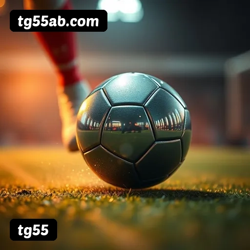 Certificações de segurança da tg55